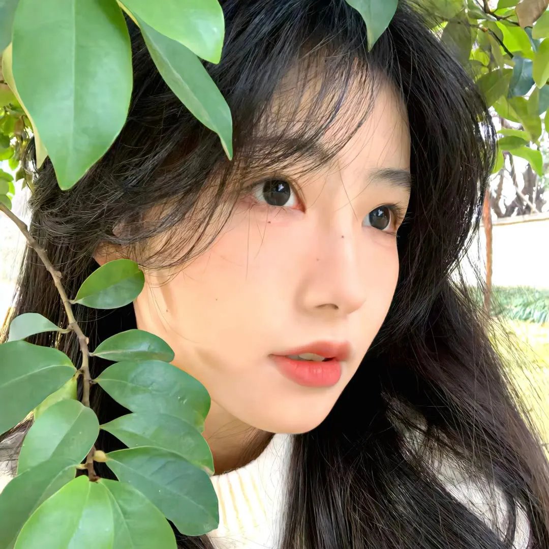 荣光五千里